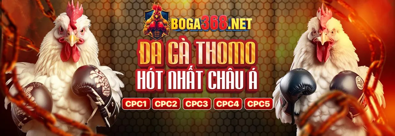 Thưởng giới thiệu bạn bè đặc biệt VZ99 APP