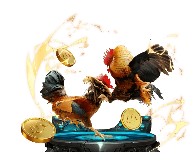 Đá Gà Trực Tuyến vz99